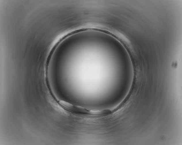 X0000091981280200709061346