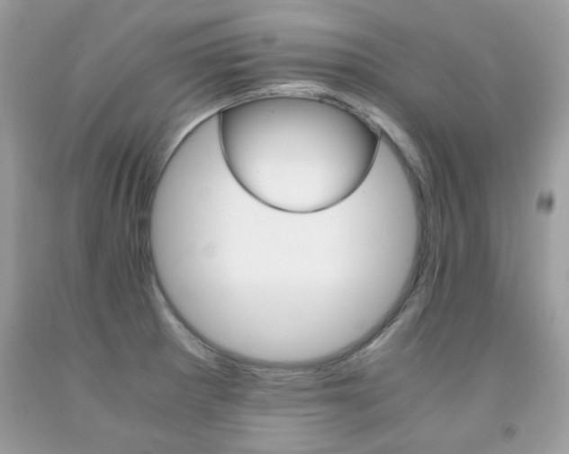 X0000091981281200709061346