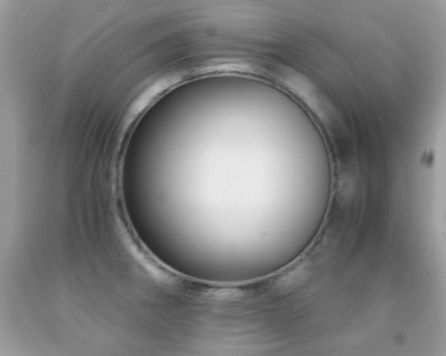 X0000091981282200709061346