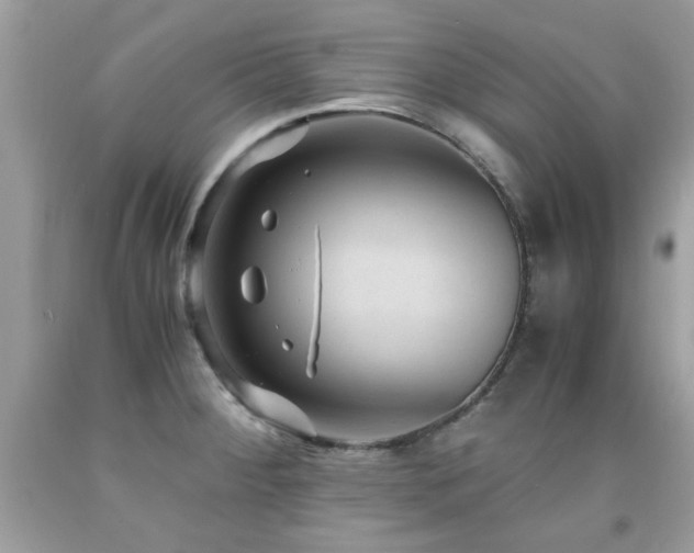X0000091981284200709061346