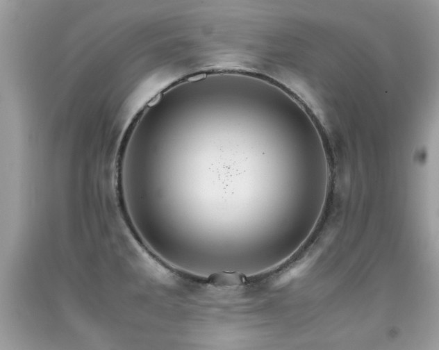 X0000091981285200709061346