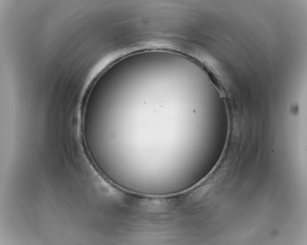 X0000091981286200709061346