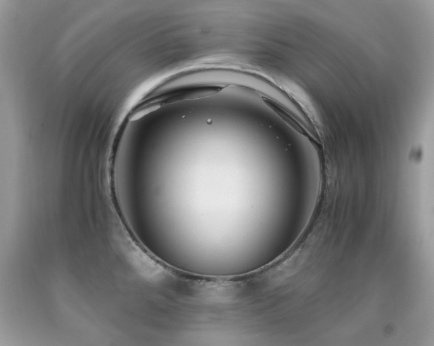 X0000091981288200709061346