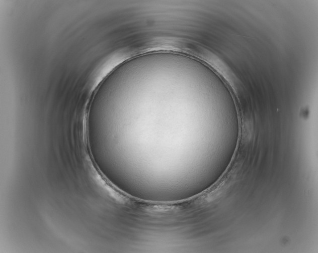 X0000091981290200709061346