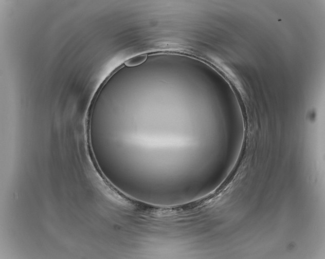 X0000091981291200709061346