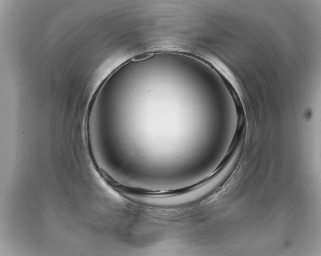 X0000091981293200709061346