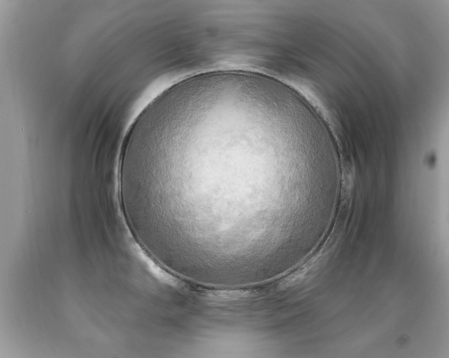 X0000091981294200709061346