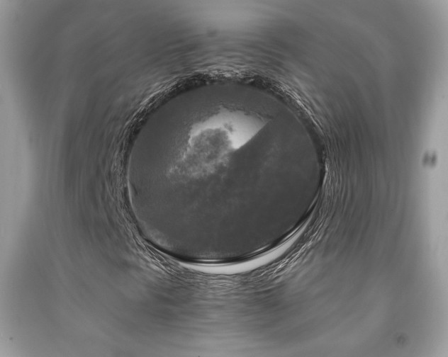 X0000091981297200709061345