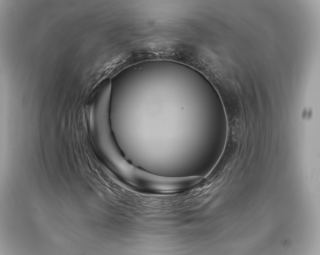 X0000091981298200709061345