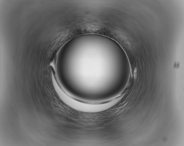 X0000091981299200709061345
