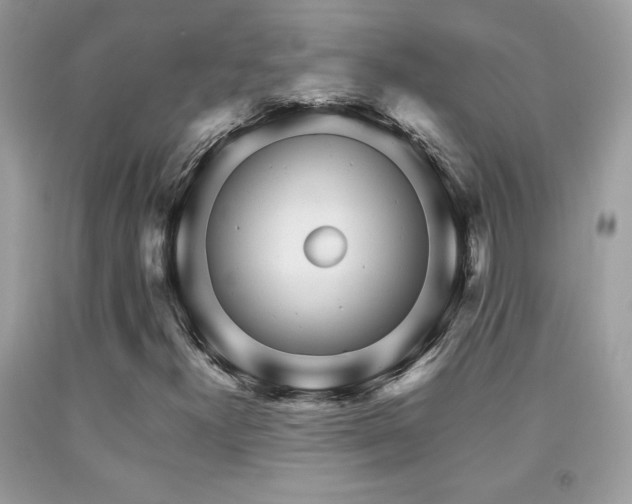 X0000091981300200709061345