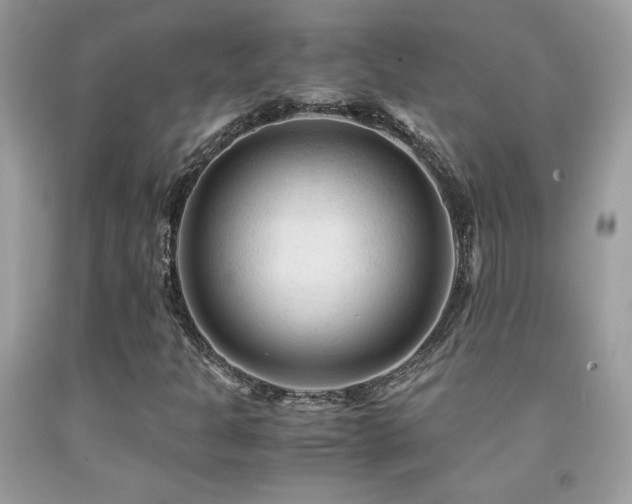 X0000091981301200709061345