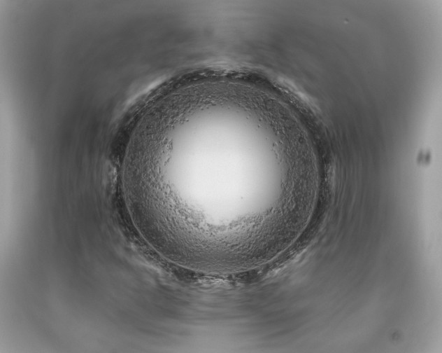 X0000091981302200709061345