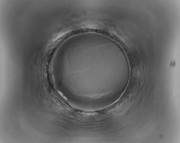X0000091981303200709061345