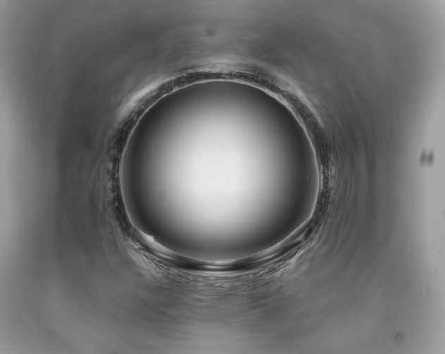 X0000091981304200709061345