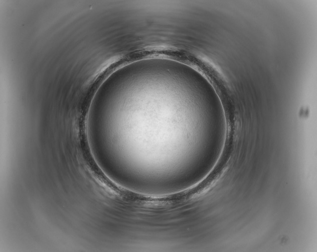 X0000091981305200709061345
