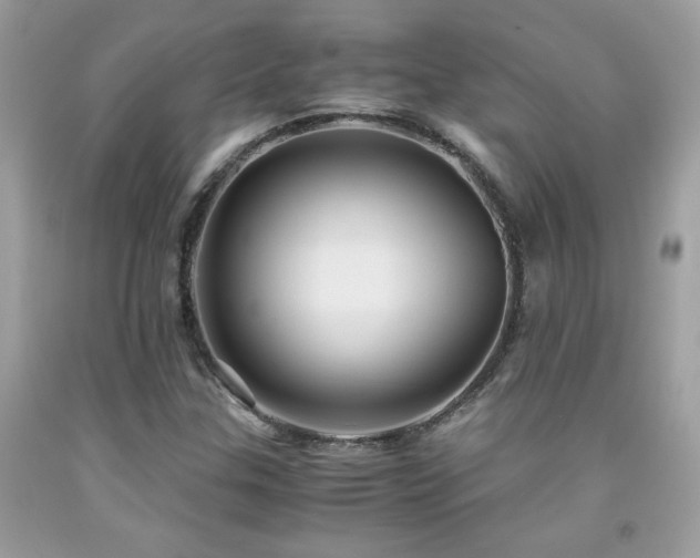 X0000091981307200709061345