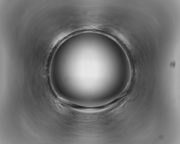 X0000091981308200709061345