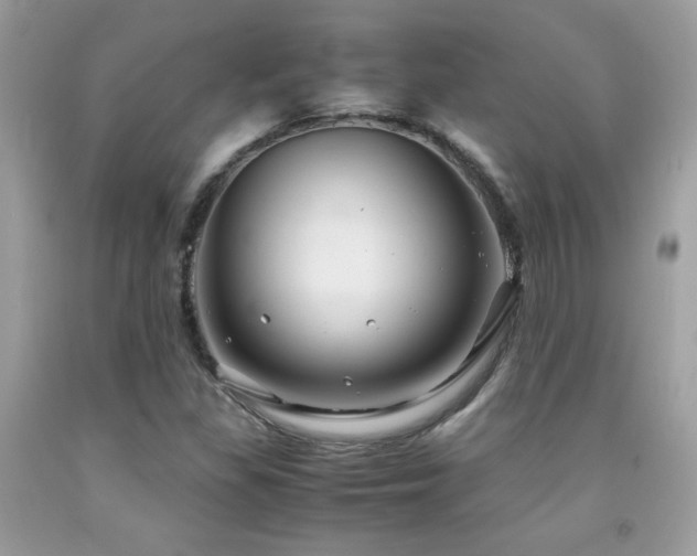 X0000091981309200709061345