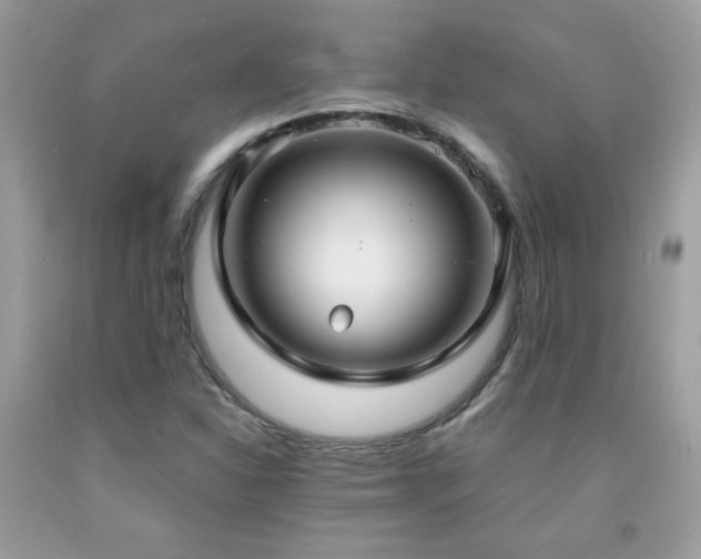 X0000091981310200709061345