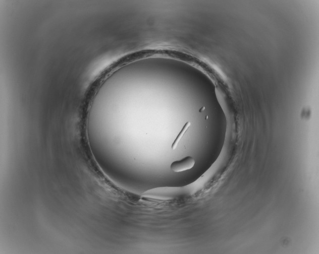 X0000091981311200709061345