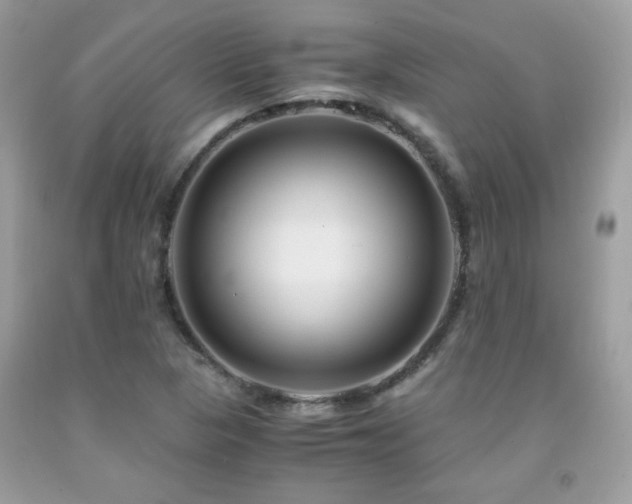 X0000091981313200709061345