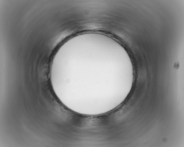 X0000091981314200709061345