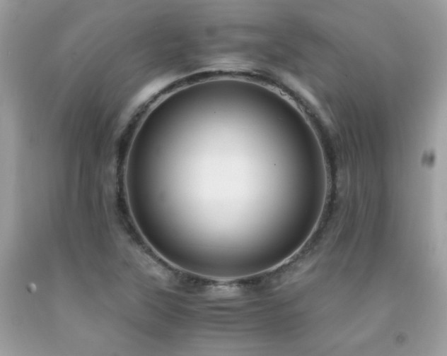 X0000091981315200709061345