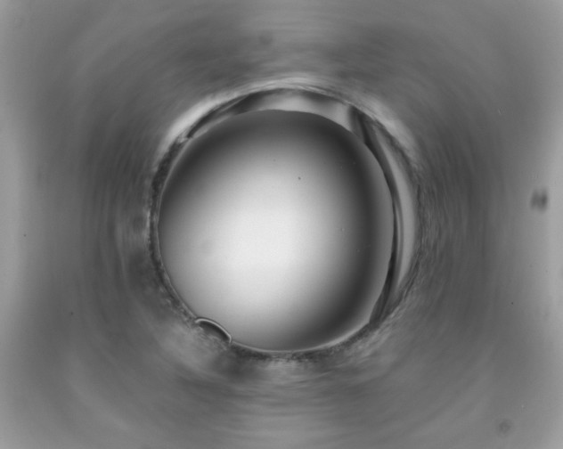 X0000091981316200709061345