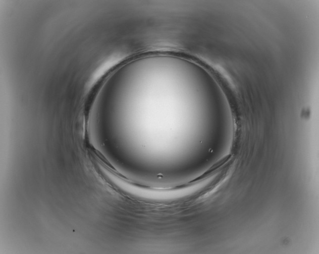 X0000091981317200709061345