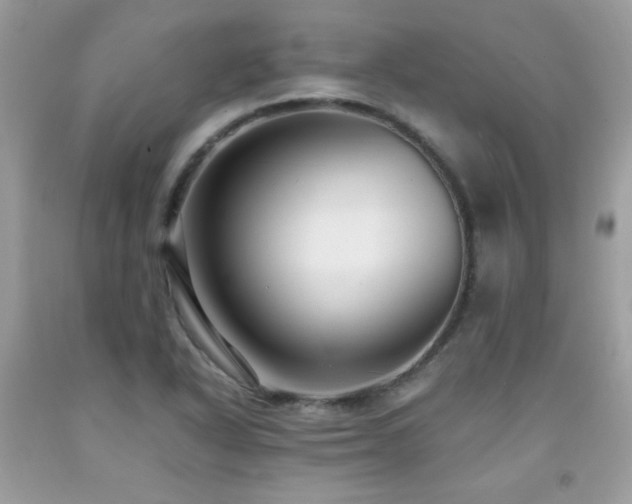 X0000091981318200709061345