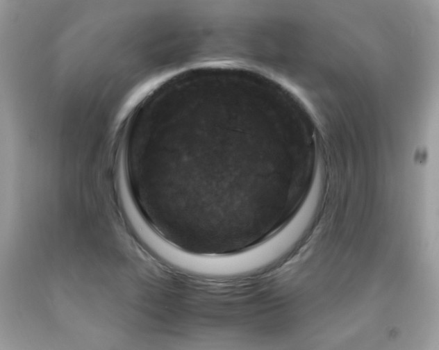 X0000091981319200709061345