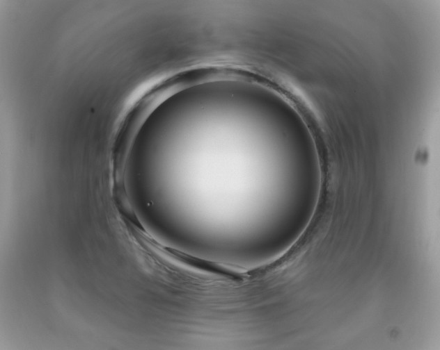 X0000091981320200709061345