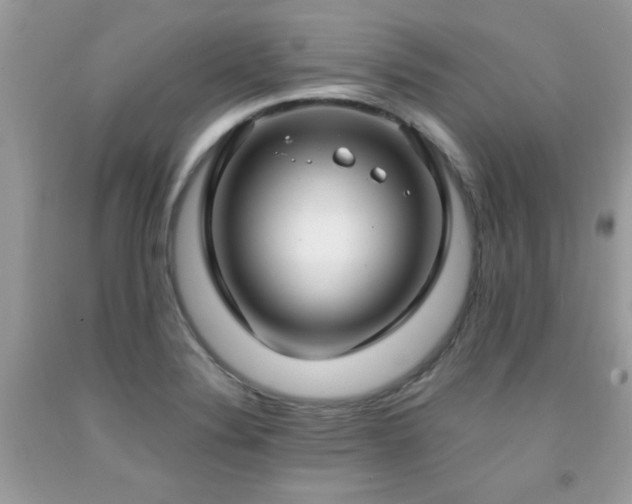 X0000091981324200709061345