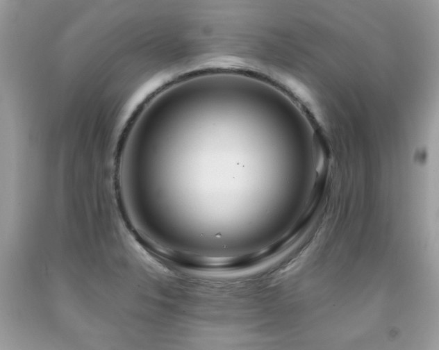 X0000091981326200709061346