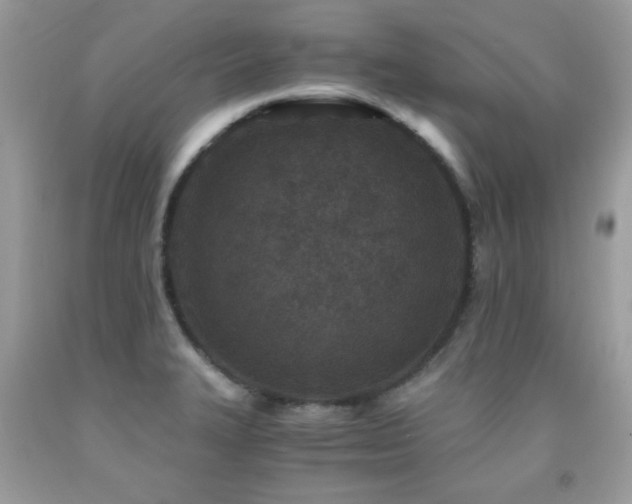X0000091981327200709061346
