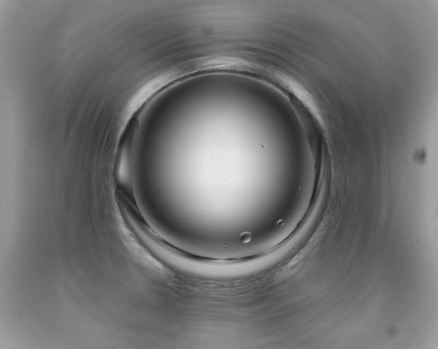 X0000091981330200709061346
