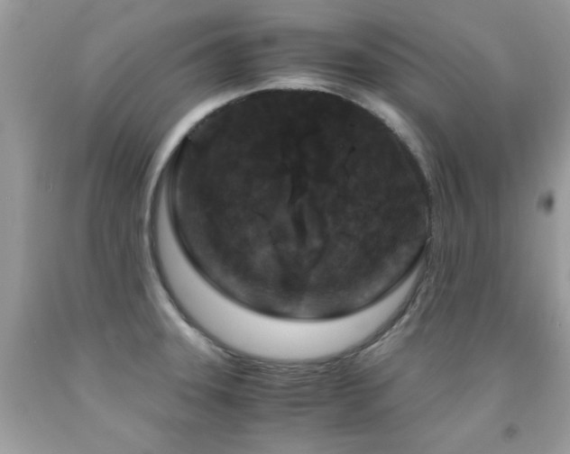 X0000091981331200709061346