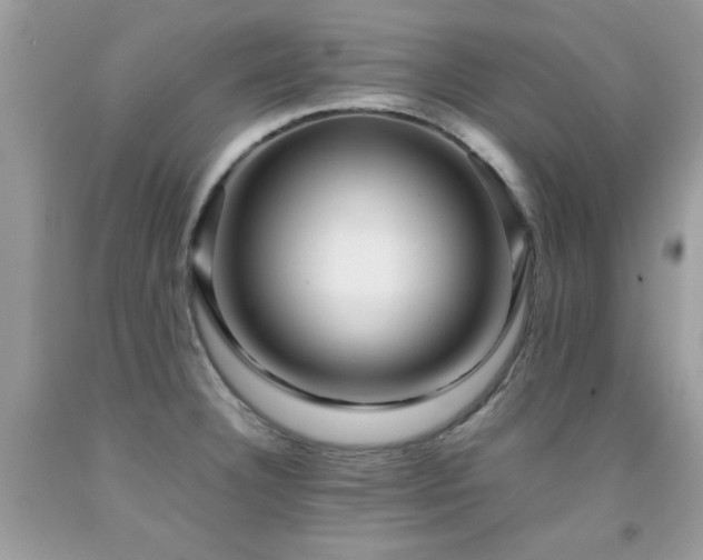 X0000091981332200709061346