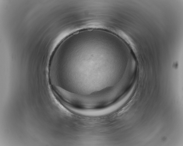 X0000091981334200709061346