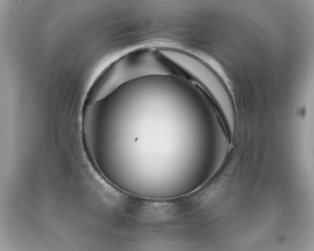 X0000091981335200709061346