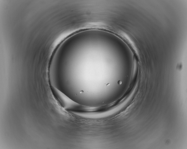 X0000091981336200709061346