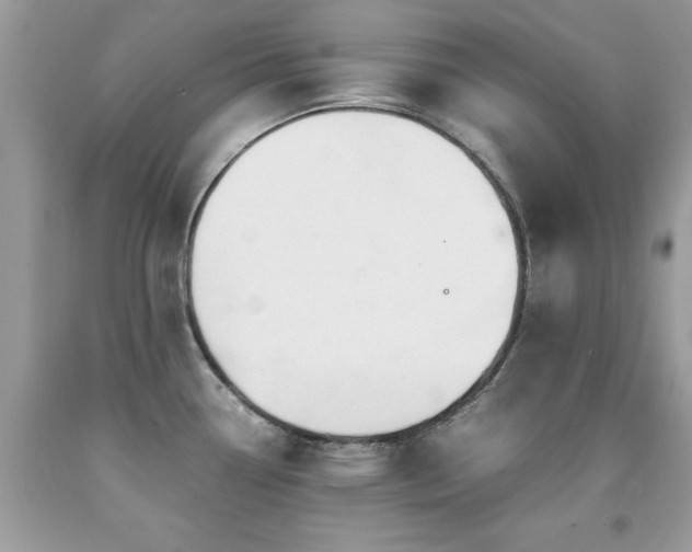X0000091981338200709061346