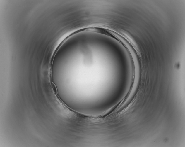 X0000091981340200709061346