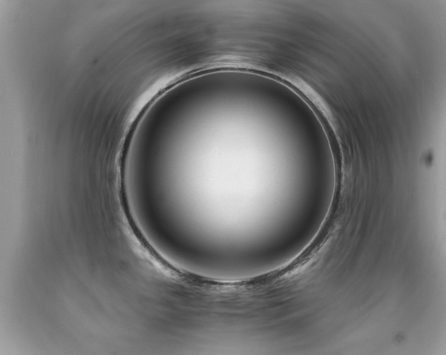 X0000091981341200709061346
