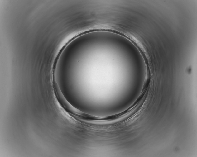 X0000091981342200709061346