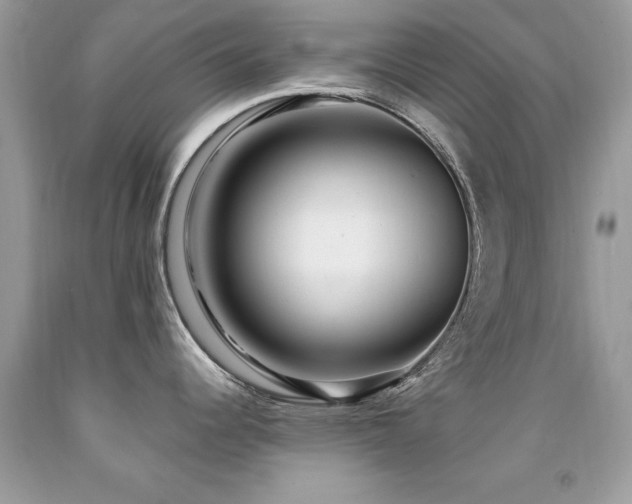 X0000091981344200709061346