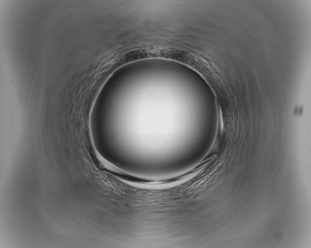 X0000091981345200709061345