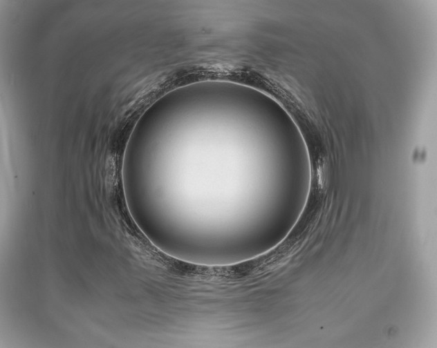 X0000091981347200709061345