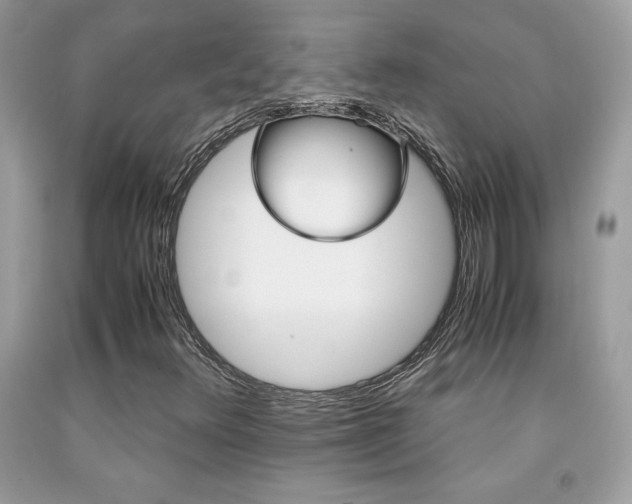 X0000091981348200709061345